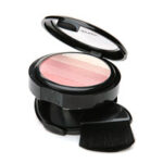 Jane Shimmer Mineral Blush