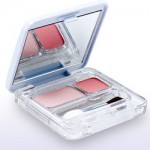 Review: Smart Skin Cosmetics Eye Shadow Duo