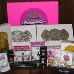 Charity Makeup Auctions from A Girl’s Gotta Spa: Buy Cosmetics and Help a Little Girl!