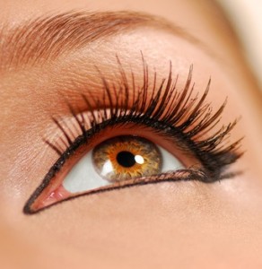 fotolia-3071980-xs