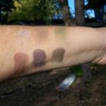 MAC Holiday A Tartan Tale Eye Kit Swatches