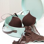 Lingerie Purchasing For The Overwhelmed Male