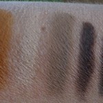 MAC Carine Roitfeld Jungle Camouflage Swatches, Review, and Video